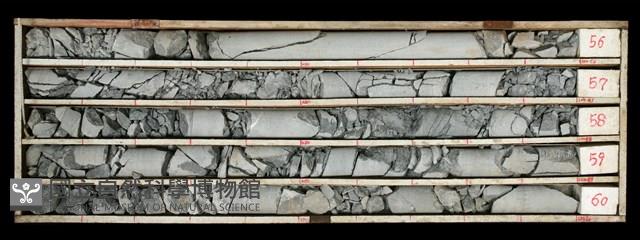 登錄號:C000451藏品圖，第1張