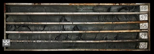 登錄號:C003511藏品圖，第1張