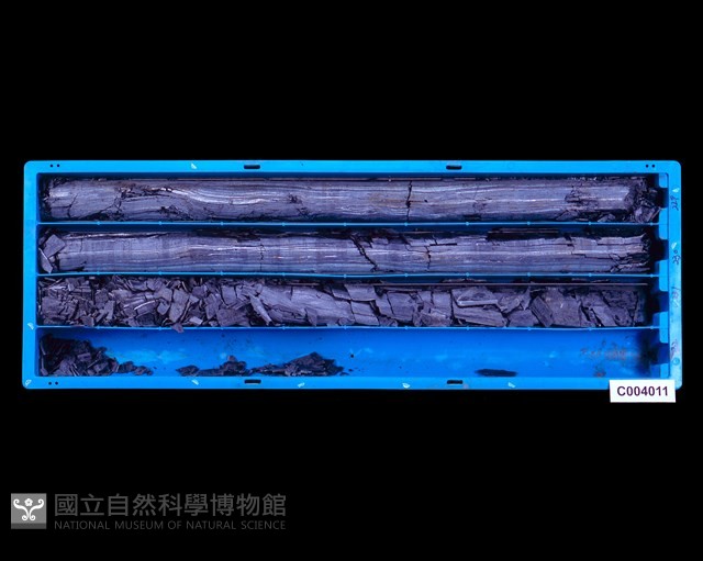 登錄號:C004011藏品圖，第1張