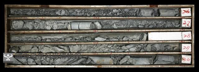 登錄號:C003601藏品圖，第1張