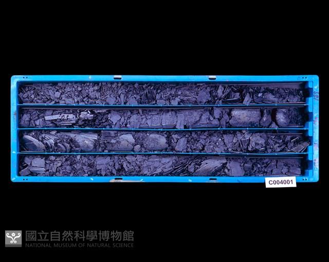 登錄號:C004001藏品圖，第1張