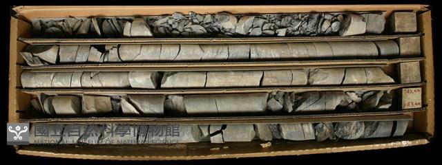 登錄號:C000731藏品圖，第2張