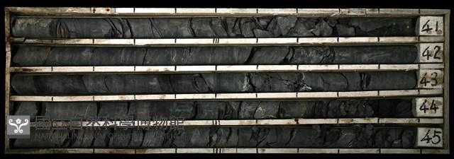 登錄號:C003385藏品圖，第1張