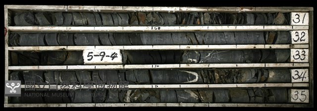 登錄號:C003395藏品圖，第1張