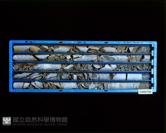 登錄號:C005195藏品圖，第2張