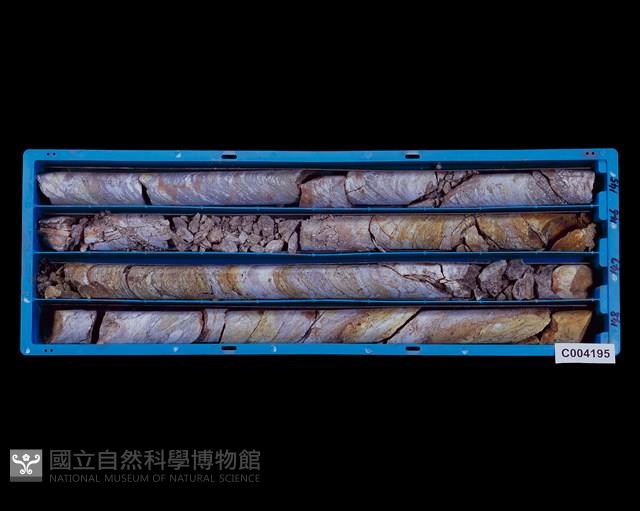 登錄號:C004195藏品圖，第1張