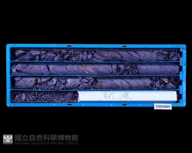 登錄號:C003995藏品圖，第1張