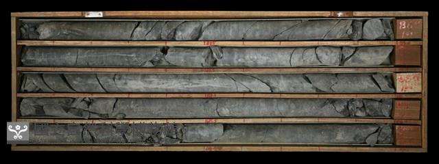 登錄號:C000695藏品圖，第2張