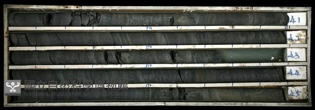 登錄號:C003365藏品圖，第1張