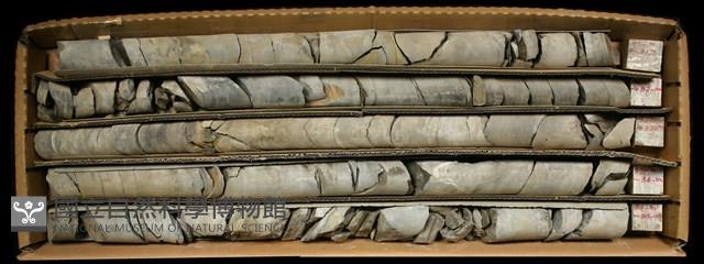 登錄號:C000765藏品圖，第1張