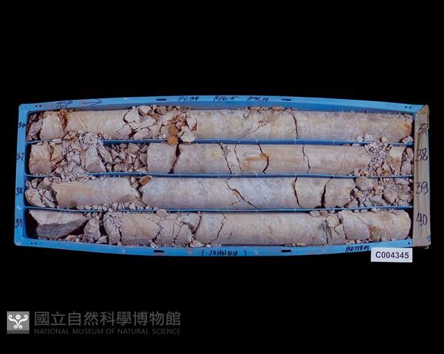 登錄號:C004345藏品圖，第2張