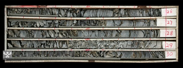 登錄號:C000445藏品圖，第1張