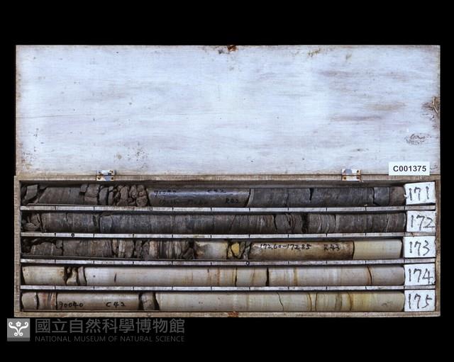 登錄號:C001375藏品圖，第2張