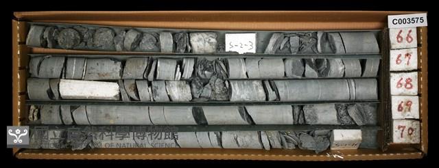 登錄號:C003575藏品圖，第1張