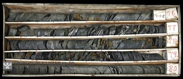 登錄號:C003475藏品圖，第1張