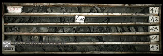 登錄號:C003355藏品圖，第1張