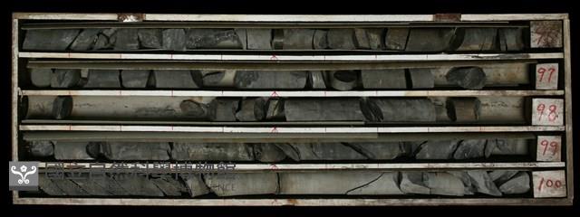 Accession Number:C000555 Collection Image, Figure 2, Total 2 Figures