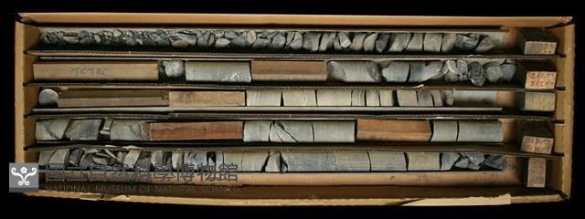 登錄號:C000755藏品圖，第2張