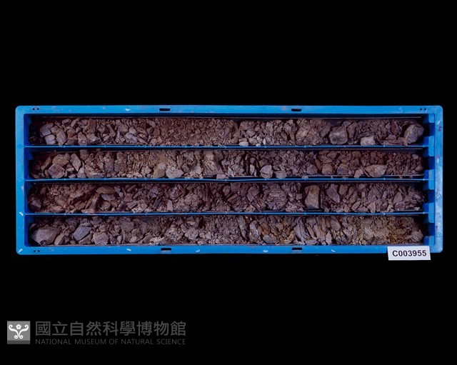 登錄號:C003955藏品圖，第1張