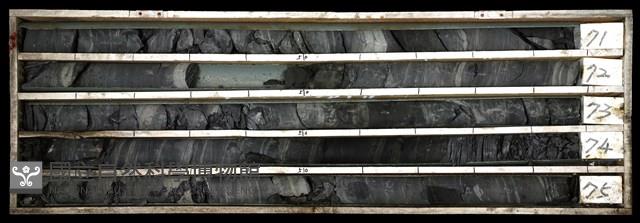 登錄號:C003455藏品圖，第1張