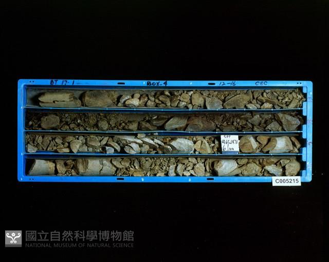 登錄號:C005215藏品圖，第2張