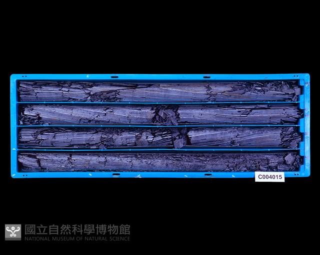 登錄號:C004015藏品圖，第1張