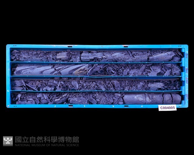 登錄號:C004005藏品圖，第1張