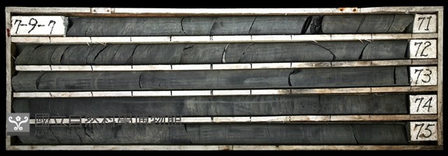 登錄號:C003435藏品圖，第1張