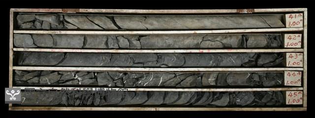 登錄號:C000624藏品圖，第1張