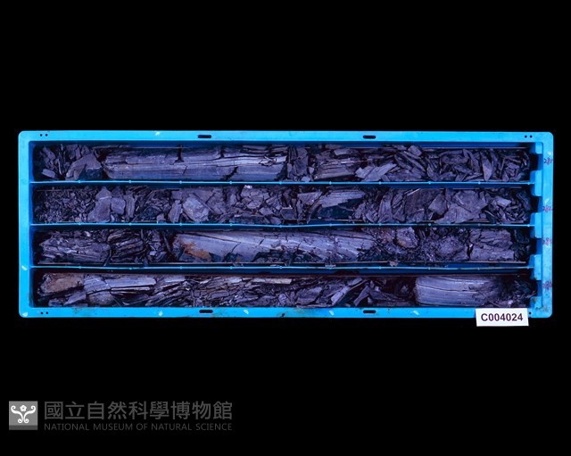 登錄號:C004024藏品圖，第1張
