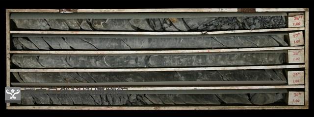 登錄號:C000584藏品圖，第2張