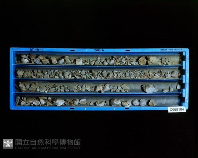 登錄號:C005184藏品圖，第2張