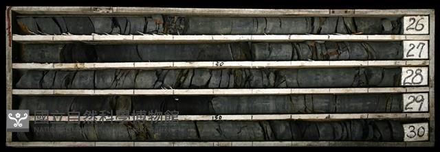 登錄號:C003394藏品圖，第1張