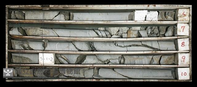 登錄號:C003564藏品圖，第1張