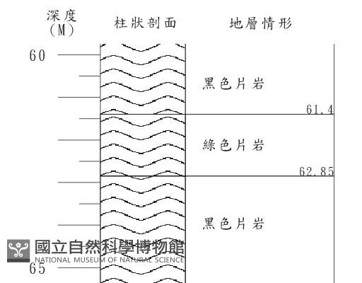 登錄號:C004264藏品圖，第2張