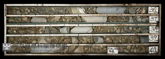 登錄號:C003664藏品圖，第1張
