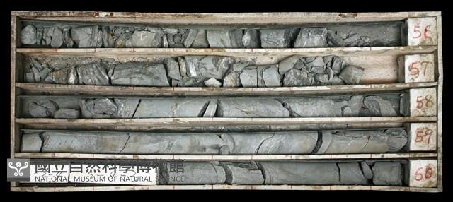 登錄號:C003544藏品圖，第1張