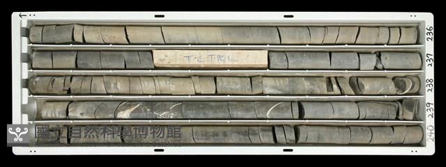 Accession Number:C000744 Collection Image, Figure 2, Total 2 Figures