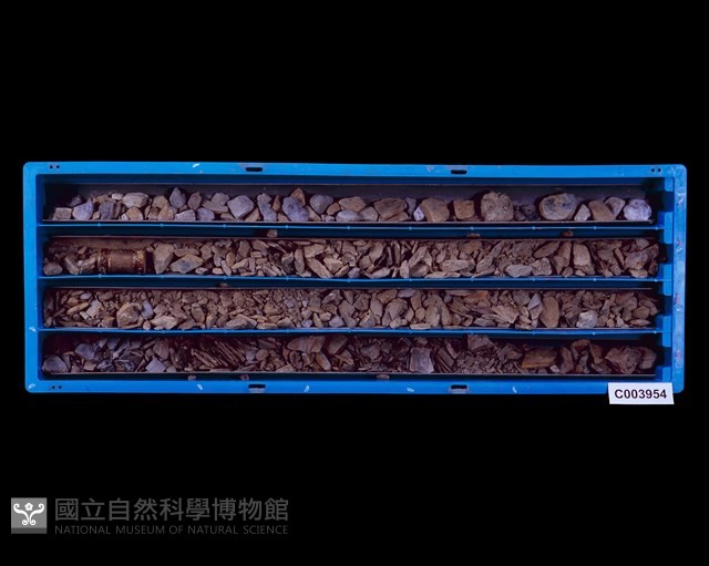 登錄號:C003954藏品圖，第1張