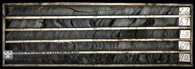 登錄號:C003414藏品圖，第1張