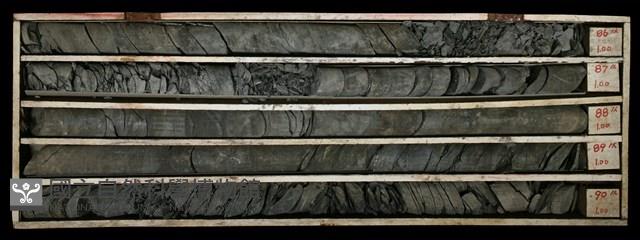 Accession Number:C000614 Collection Image, Figure 2, Total 2 Figures