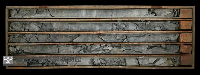 登錄號:C000704藏品圖，第2張
