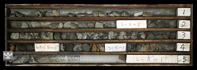 登錄號:C003604藏品圖，第1張