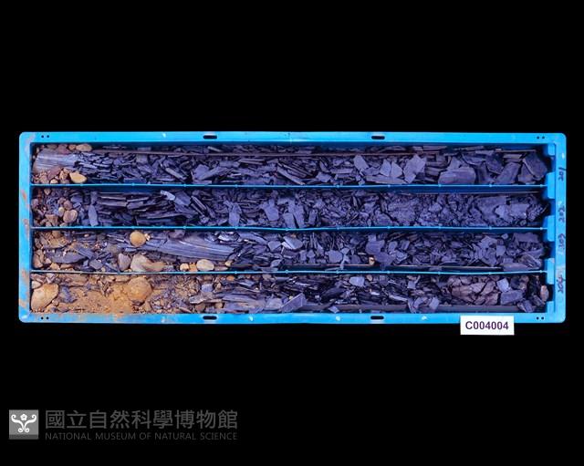 登錄號:C004004藏品圖，第1張