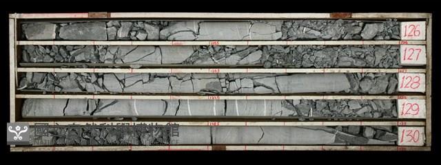 Accession Number:C000534 Collection Image, Figure 2, Total 2 Figures