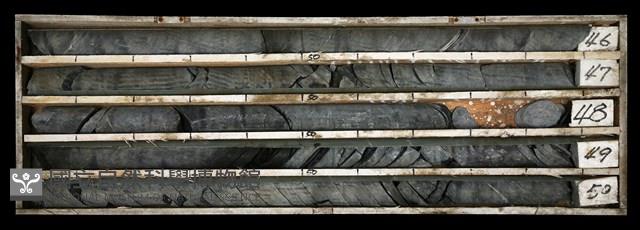 登錄號:C003529藏品圖，第1張