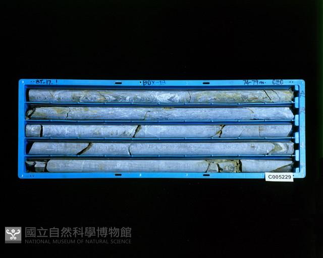 登錄號:C005229藏品圖，第2張