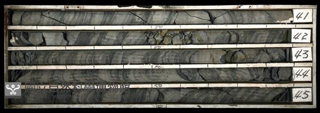 登錄號:C003429藏品圖，第1張