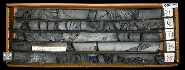 登錄號:C003629藏品圖，第1張