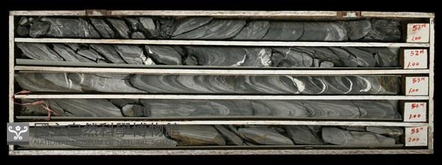 登錄號:C000589藏品圖，第2張